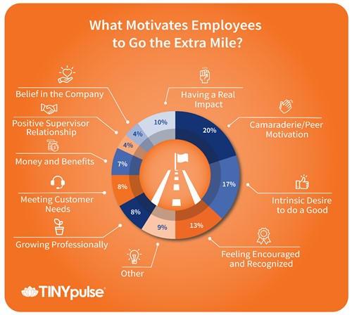 action plan to motivate employees